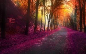 Nature, Fall, Park, Trees, Colorful, Landscape, Leaves, Hill, Road, Lights wallpaper thumb