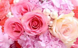 Pink roses background wallpaper thumb