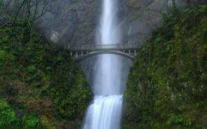 Waterfall Bridge Tropical Forest HD wallpaper thumb