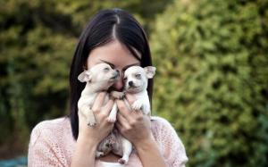 Girl holding puppies in her hands wallpaper thumb