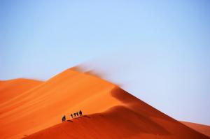 Landscape, Desert, Nature, Dune, Windy wallpaper thumb