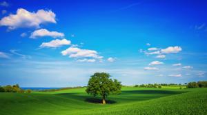 blue sky, white clouds, green, grass, trees wallpaper thumb