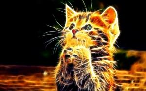 Cute neon kitten wallpaper thumb