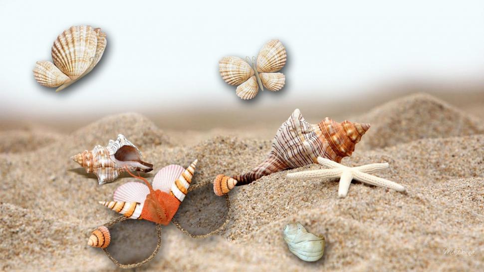 Sea Shells By The Sea wallpaper | beach | Wallpaper Better