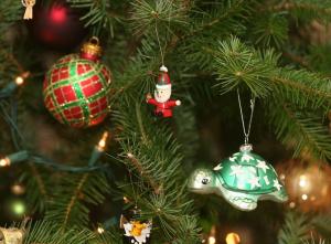 christmas decorations, balloons, turtle, santa claus, christmas tree, needles, holiday, mood wallpaper thumb