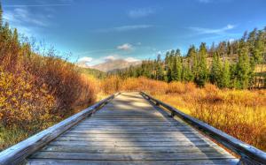 Wooden Footpath In Nature Hdr wallpaper thumb
