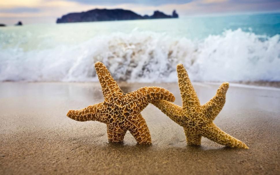 Starfish - Come With Me! wallpaper,Other HD wallpaper,1920x1200 wallpaper