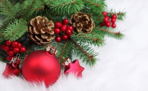christmas decorations, bud, twig, needles, fur, new year, christmas wallpaper thumb