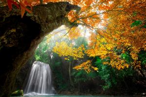 Waterfall in forest colorful wallpaper thumb