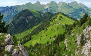 Switzerland, mountains, forest, summer, house wallpaper thumb
