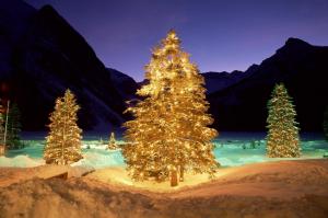 trees, snow, christmas, new year, garlands wallpaper thumb