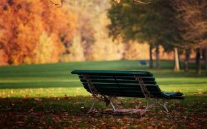 Bench Autumn Park  High Resolution Stock Images wallpaper thumb
