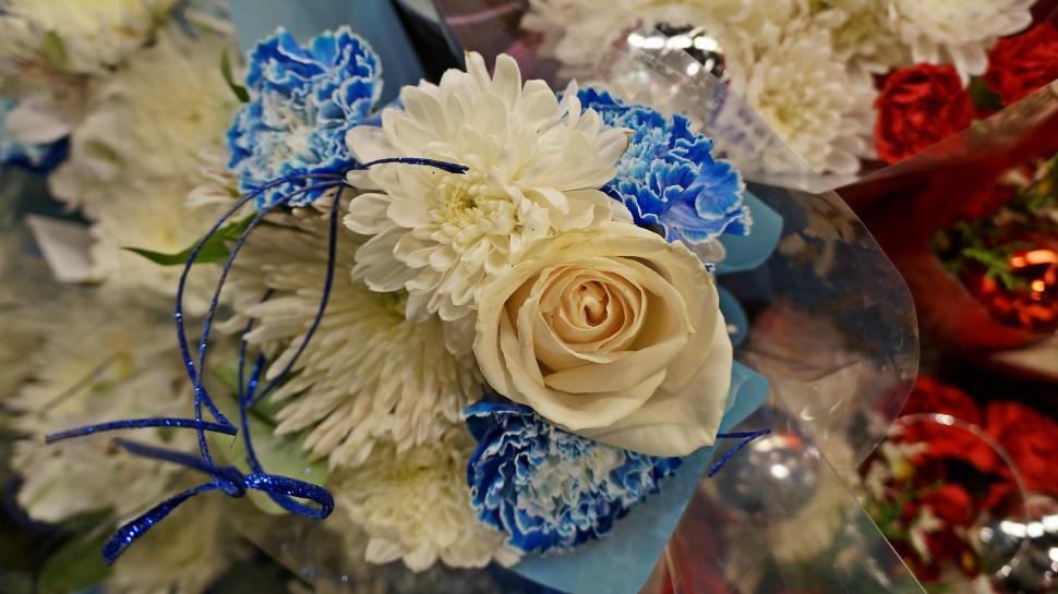 A Bountiful Bouquet wallpaper,bouquet-of-flowers HD wallpaper,bouquet HD wallpaper,blue-and-white-flowers HD wallpaper,a-bountiful-bouquet HD wallpaper,blue-flowers HD wallpaper,4912x2760 wallpaper
