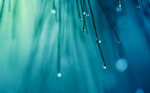 Macro Water Drops Blue HD wallpaper thumb