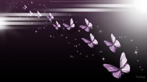 Purple Butterfly Parade wallpaper thumb