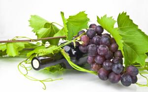 Wine and grapes wallpaper thumb