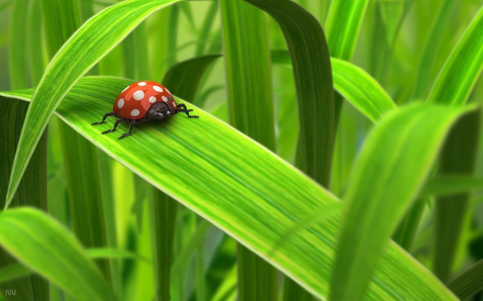 Green day 3d Abstract Animals art black spots bug bugs CG cool grass Green  hot insect Insects lady l HD wallpaper | animals | Wallpaper Better
