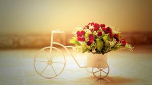 Romantic roses bicycle wallpaper thumb