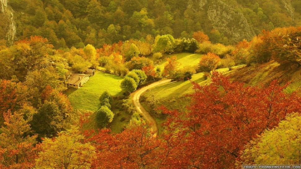 Farm In A Valley Forest In Autumn wallpaper,forest HD wallpaper,valley HD wallpaper,autumn HD wallpaper,farm HD wallpaper,nature & landscapes HD wallpaper,1920x1080 wallpaper