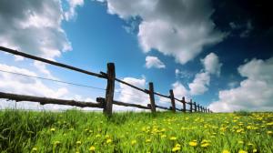 Fence Grass Flowers Clouds HD wallpaper thumb