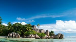 Tropical Beach Ocean Rocks Stones Palm Trees HD wallpaper thumb