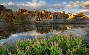 Arizona, Prescott, Watson lake, USA, lake, flowers, stones wallpaper thumb