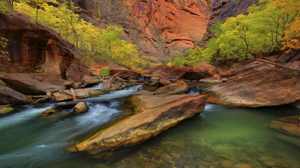 Canyon Stream In Zion National Park wallpaper,trees HD wallpaper,canyon HD wallpaper,stream HD wallpaper,rocks HD wallpaper,nature & landscapes HD wallpaper,1920x1080 wallpaper