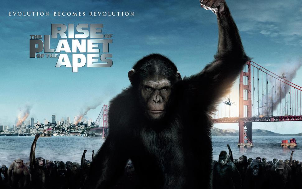 2011 Rise of the Planet of the Apes wallpaper,rise HD wallpaper,planet HD wallpaper,2011 HD wallpaper,apes HD wallpaper,movies HD wallpaper,2560x1600 wallpaper