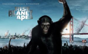 2011 Rise of the Planet of the Apes wallpaper thumb