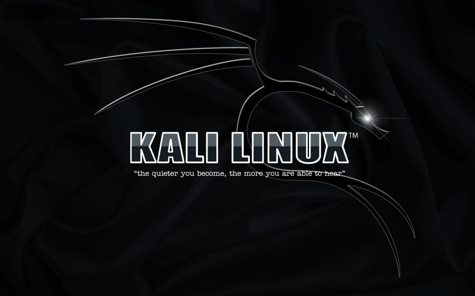 Kali Linux, Operating System wallpaper,kali linux HD wallpaper,operating system HD wallpaper,1920x1200 wallpaper