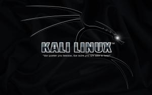 Kali Linux, Operating System wallpaper thumb