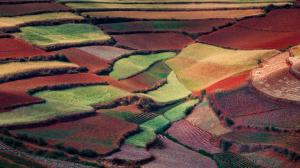 China spring nature, countryside fields, like colorful carpets wallpaper thumb