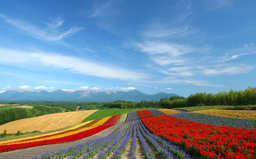 Colourful land wallpaper,landscape HD wallpaper,background HD wallpaper,spring HD wallpaper,1920x1200 wallpaper
