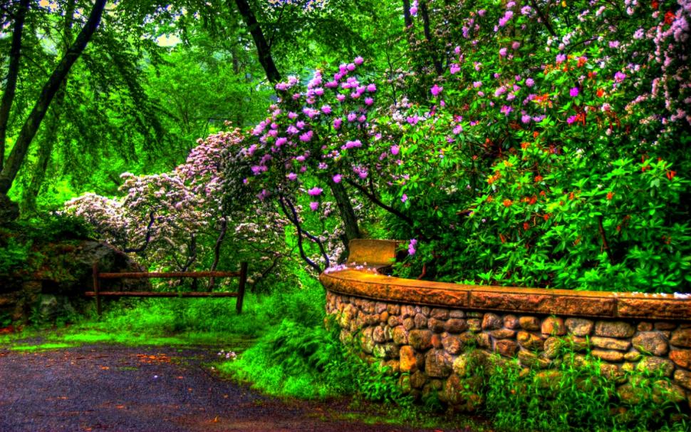 Spring blossoms in the garden wallpaper,nature HD wallpaper,1920x1200 HD wallpaper,garden HD wallpaper,stone HD wallpaper,blossom HD wallpaper,tree HD wallpaper,HDR HD wallpaper,2880x1800 wallpaper