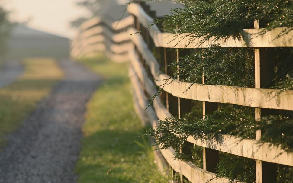 Fence, grass, road, morning wallpaper,Fence HD wallpaper,Grass HD wallpaper,Road HD wallpaper,Morning HD wallpaper,1920x1200 wallpaper