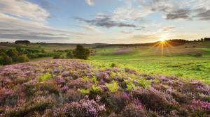 Beautiful Sunrise Over British Countryside wallpaper thumb