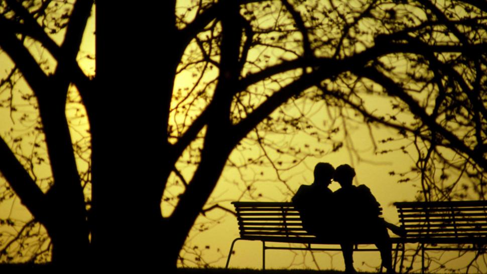 Twilight In The Park wallpaper,trees HD wallpaper,twilight HD wallpaper,romantic HD wallpaper,park HD wallpaper,silhouette HD wallpaper,bench seats HD wallpaper,couple HD wallpaper,3d & abstract HD wallpaper,1920x1080 wallpaper