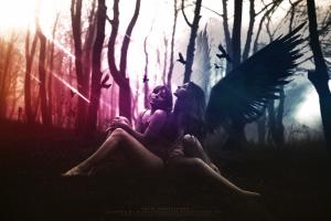 Angels, Photo Manipulation, Graphic Design, Wings, Bird, Sitting wallpaper thumb