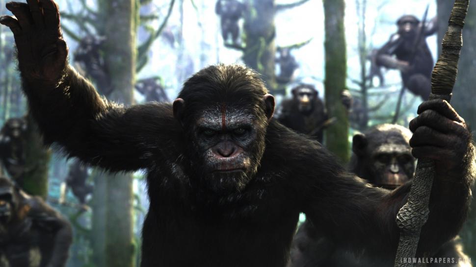Dawn of the Planet of the Apes wallpaper,dawn HD wallpaper,planet HD wallpaper,apes HD wallpaper,1920x1080 wallpaper