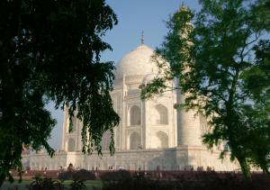 Taj Mahal Through Trees. wallpaper thumb