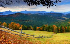Forest, trees, mountains, grass, leaves, fence, autumn wallpaper thumb