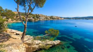 Palma, Menorca, tree, blue sea, coast, houses, Spain wallpaper thumb