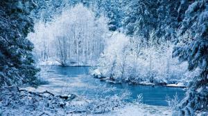 ღ.amazing Scenery Of Winter.ღ wallpaper thumb