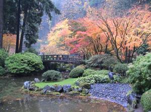 autumn japanese garden with maples colors bushes gardens nature other rocks Trees Water HD wallpaper thumb