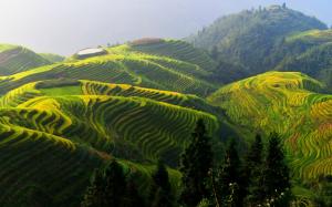 Longji rice terraces, China beautiful countryside wallpaper thumb