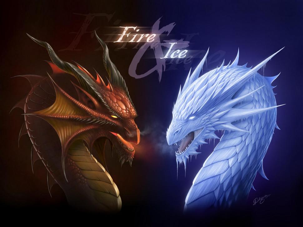 Fantasy dragon fire ice wallpaper,fantasy HD wallpaper,dragon HD wallpaper,fire HD wallpaper,2560x1920 wallpaper