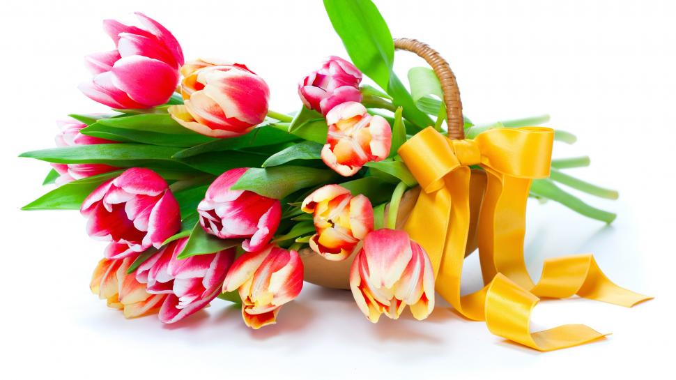 Tulips, flowers, basket wallpaper,Tulips HD wallpaper,Flowers HD wallpaper,Basket HD wallpaper,2560x1440 wallpaper