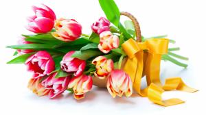 Tulips, flowers, basket wallpaper thumb