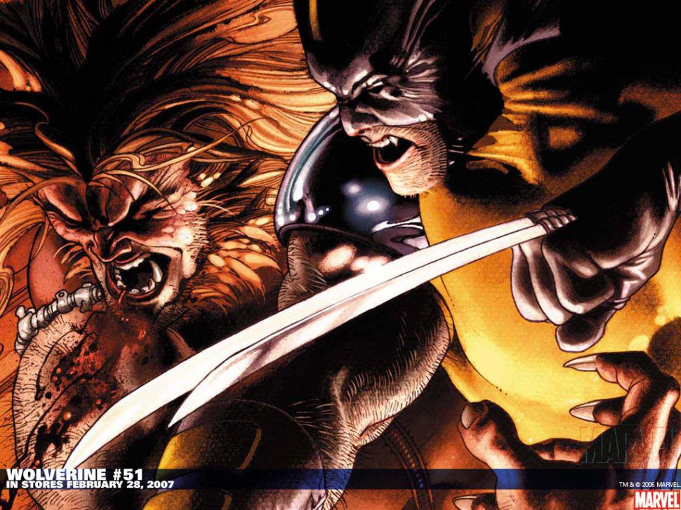 X-Men Wolverine Sabretooth Fight HD wallpaper,cartoon/comic wallpaper,x wallpaper,men wallpaper,fight wallpaper,wolverine wallpaper,sabretooth wallpaper,1024x768 wallpaper