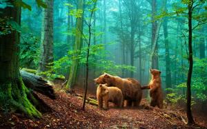 Brown bears in the forest wallpaper thumb